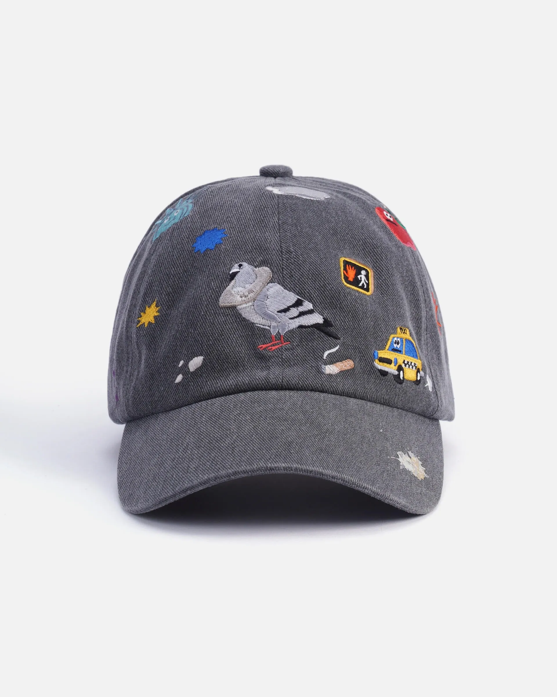 Embroidered Dad Cap in Chic Civic Design